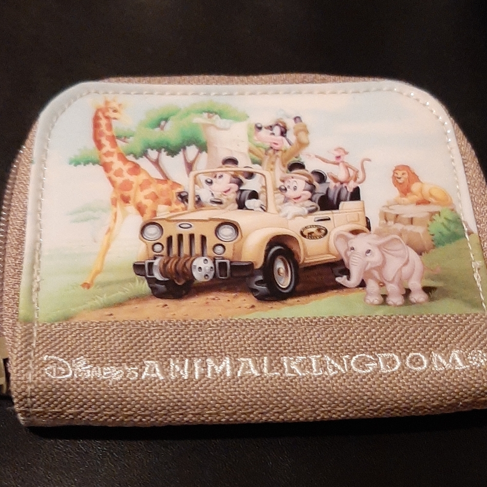 Disney change purse